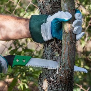 What is the Best Pruning Saw of 2024?