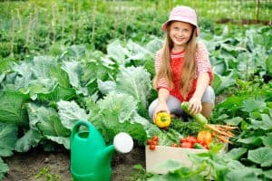 How to Plant an Awesome Vegetable Garden Even If You’ve Never Grown Before