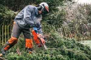 What are the Best Chainsaw Chaps for a Small Chainsaw?