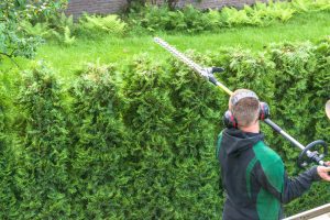 What is the Best Pole Hedge Trimmer of 2024?