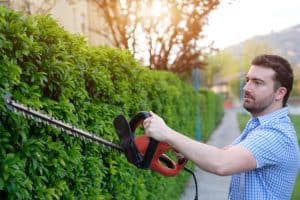 What is the Best Corded Hedge Trimmer of 2024?