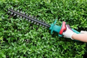 What is the Best Cordless Hedge Trimmer of 2024?