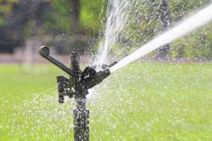 What is the Best Tripod Sprinkler of 2024?