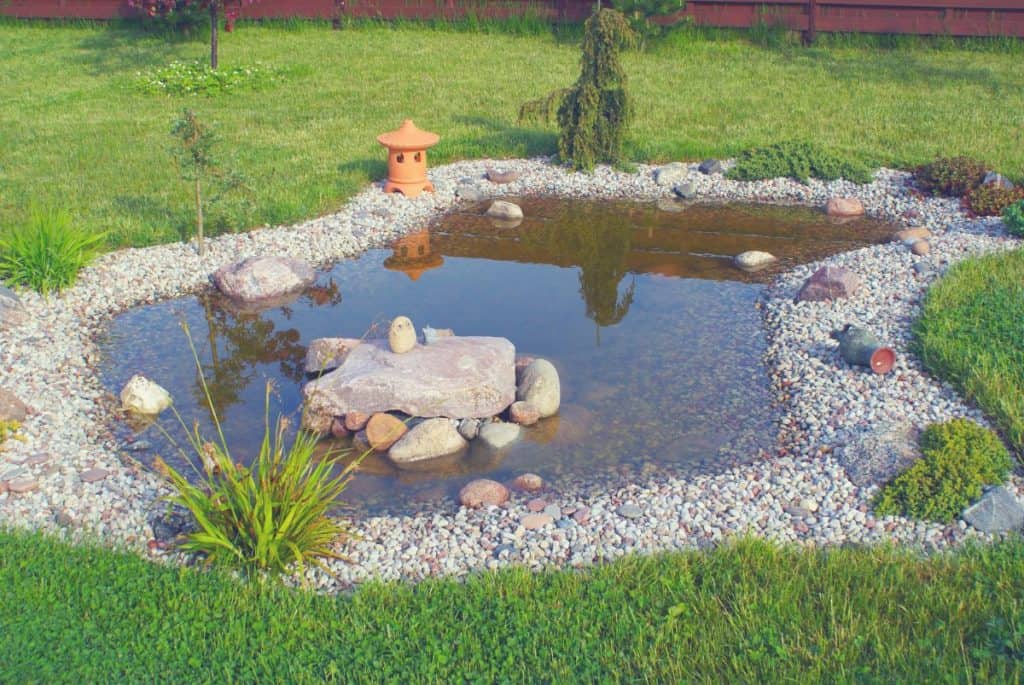 What is the Best Pond Liner of 2020? Gardening Mentor