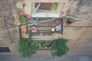 Urban Gardening: Grow amazing food in a limited space
