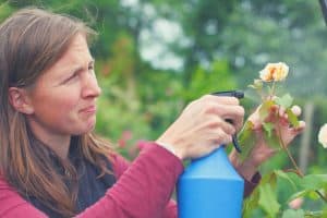 How to Make Compost Tea And Grow An Exciting Garden