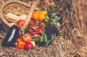 How to use Straw Bale Gardening To Grow Amazing Food