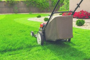 What is the Best Lawn Sweeper of 2024?