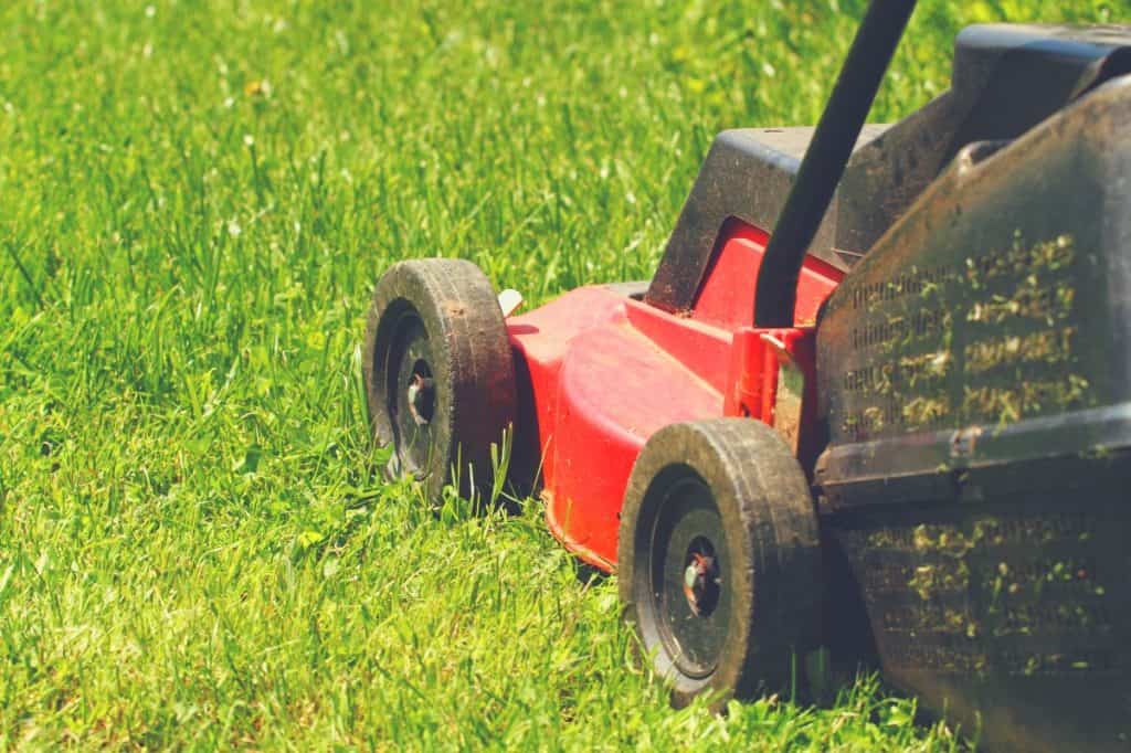 What is the Best Push Lawn Sweeper of 2020? Gardening Mentor