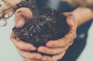 How to Prepare Amazing Garden Soil That Plants Love