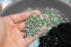 How Vermiculite Can Help You Grow Better Plants And Seedlings