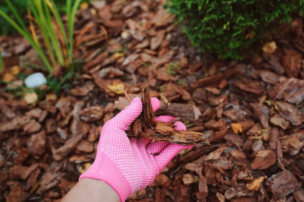 How to use Mulch and get the Best out of your garden Gardening Mentor