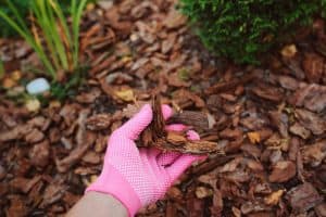 How to use Mulch and get the Best out of your garden