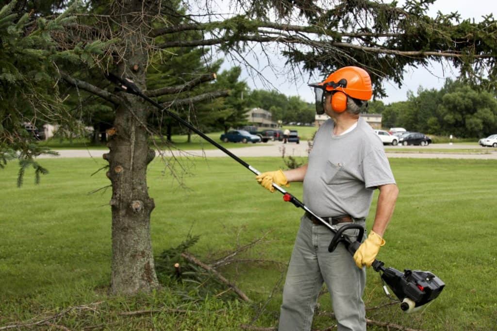 What is the Best Electric Pole Saw of 2020? – Gardening Mentor Best Electric Saw For Cutting Trees