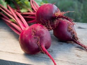 How to Grow Sweet and Nutritious Beets in Your Garden