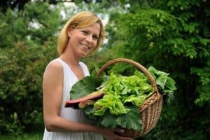 How To Grow Healthy And Delicious Lettuce For Your Salads