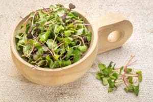How To Grow Super-Nutritious Microgreens In Your Home
