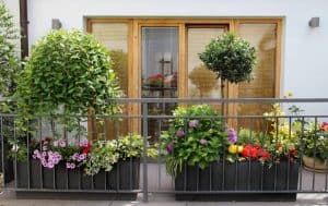 11 Tips To Maintain Your Balcony Garden (And Make Neighbors Happy)