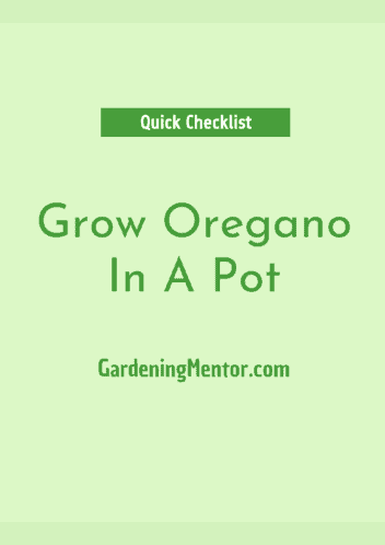 Grow Oregano In A Pot - Checklist