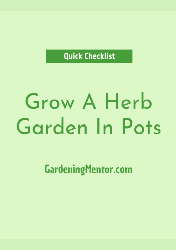 quick checklist to grow a herb garden in pots