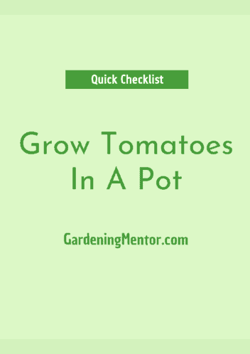grow tomatoes in a pot - quick checklist