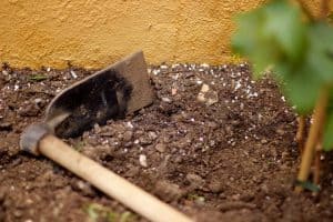 Can I Use Garden Soil Instead Of Potting Soil?