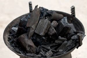 Are Charcoal Ashes Good For Plants? (And How To Use It)