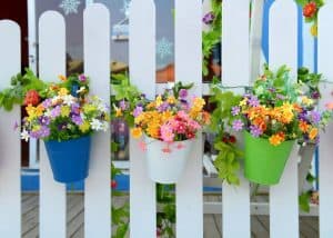 When To Bring Hanging Baskets Inside?