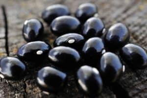 How To Grow Black Beans In A Container