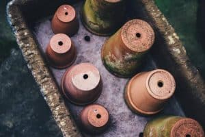 5 Super Tips To Keep Terracotta Pots From Drying Out