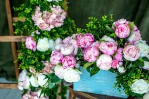 14 Critical Reasons Peonies Don’t Bloom (And How To Fix This)