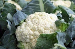 Can You Grow Cauliflower In A Pot?