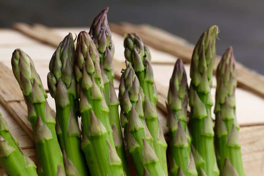 12 Steps to Grow Amazing Asparagus in Pots Gardening Mentor