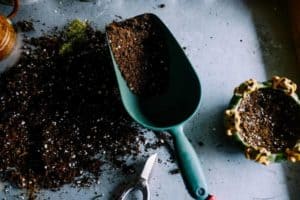 Can You Use Potting Soil In The Ground?