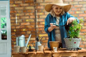 13 Steps Container Gardening for Seniors: The Ultimate Guide
