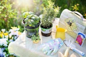 25 Best Container Gardening Tools (Gardeners Recommend)