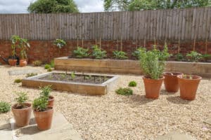 Container vs Raised Bed: 500+ Gardeners Survey