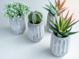 Are Cement Pots Good For Plants? (Experts Comment)