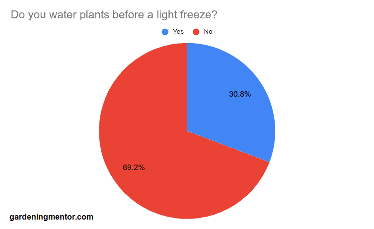 Should You Water Potted Plants Before a Freeze?