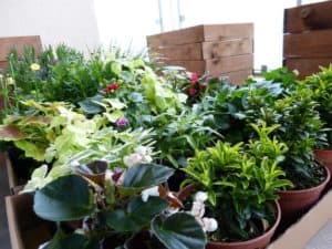 How Much Space Is Needed For Container Gardening?