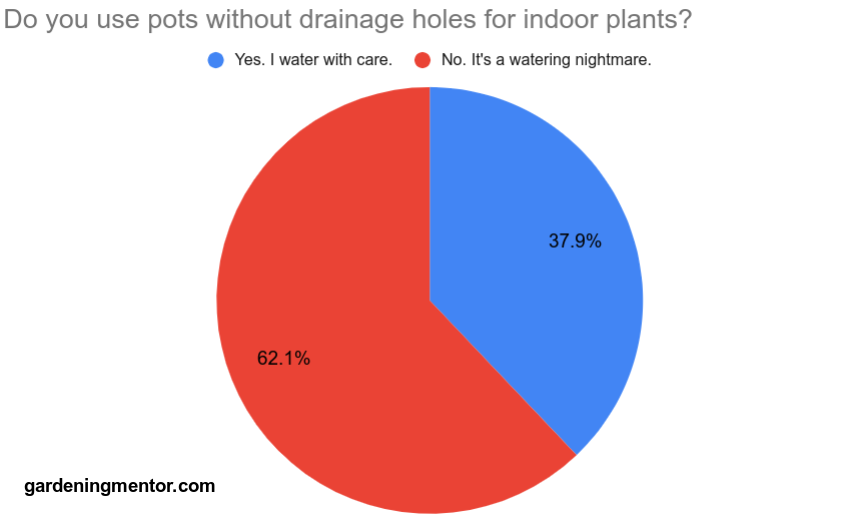 plants in pots without drainage holes