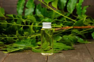 How to Wash Off Neem Oil (3 Simple Steps)