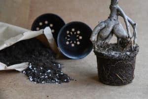 Covering Drainage Holes In Pots (Protect Soil From Washing Away)