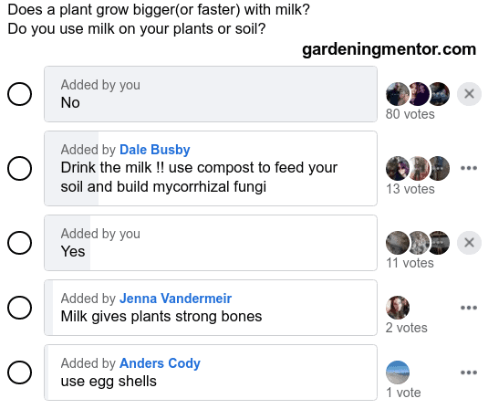 Does A Plant Grow Bigger With Milk? (With Gardeners Poll)