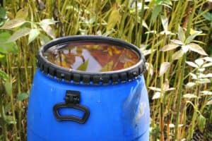 How Long Can You Store Rainwater For Plants? (Gardeners Weigh In)