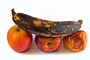 Can You Use Rotten Fruit As Fertilizer? (3 Proven Methods)