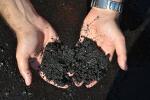 Can Too Much Compost Hurt Plants? (4 Signs Of Excess Compost)