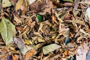 7 Solid Tips To Keep Leaf Mulch From Blowing Away (Gardeners Poll)