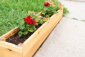 How To Put Planter Box On Grass: Gardeners Survey