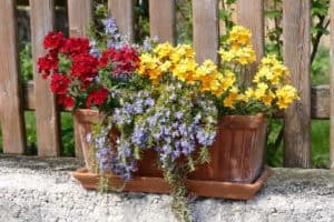 How Deep Does A Planter Box Need To Be? (With 100 Plants List)